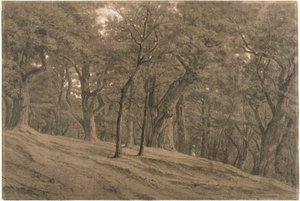 I Fontainbleaus skog av Theodore Rousseau