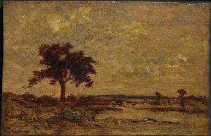 Marshlands, ej daterad (olja på träpanel) av Theodore Rousseau