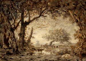 Solnedgång från skogen Fontainebleau