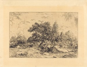 Utsikt över Plateau de Bellecroix av Theodore Rousseau