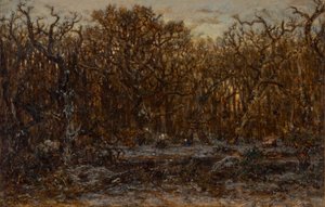 Skog vid solnedgången på vintern