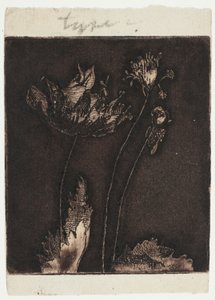 Sista vallmo av Theodore Roussel