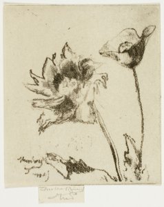 Två blommor av Theodore Roussel