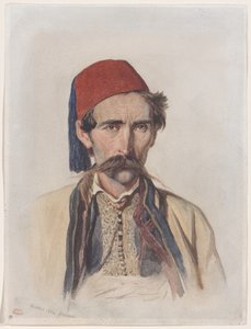 Moustaschslav i Belgrad