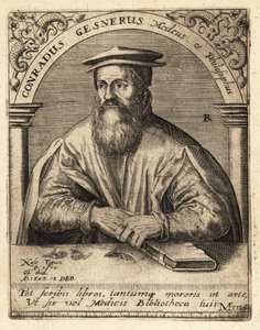 Conrad Gessner, schweizisk läkare av Theodore de Bry
