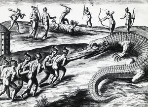 Krokodiljakt i Florida, från målning av Jacques le Moyne de Morgues (ca 1533-före 1588), av Theodor de Bry (1528-1598). gravyr av Theodore de Bry