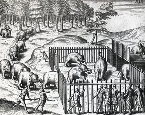 Elefantjakt i kungariket Pegu, nu Myanmar, av Theodor de Bry (1528-1598), gravyr av Theodore de Bry
