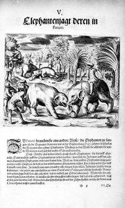 Elefanter som slåss, 1606 av Theodore de Bry
