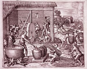 Amerikas historia: skörd av sockerrör och sockerproduktion av indiska slavar som arbetar för de spanska conquistadorerna (gravyr av Theodore de Bry