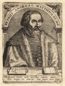 Pietro Andrea Gregorio Mattioli, italiensk läkare av Theodore de Bry