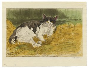 Gammal svartvit katt i gräset av Théophile Alexandre Steinlen