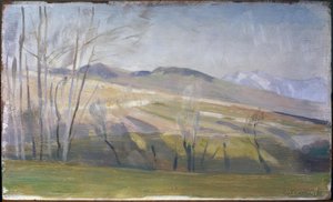 Die Höhen von Lavaux von Theophile Bischoff