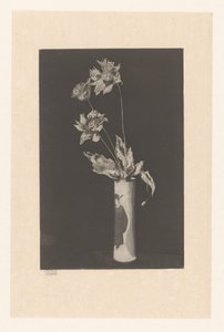 中国をモチーフにした花瓶の花 ラ・チャイニーズ・ウェディッシュ av Théodore Roussel (signed by artist)
