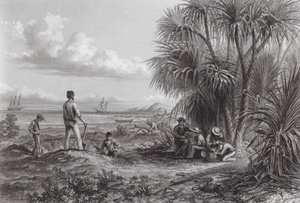Australien: En upptäcktsresandes läger (gravyr) av Thomas (after) Baines