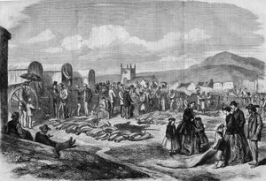 Elfenben och skinnmarknad i Grahamstown, Albanien, Kapkolonin av Thomas (after) Baines