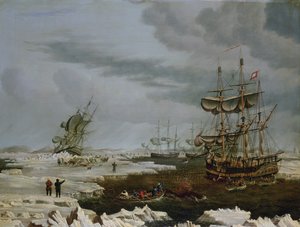 Skrovvalfångare i Arktis av Thomas A. Binks