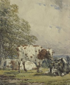 En studie av boskap, 1800-talet