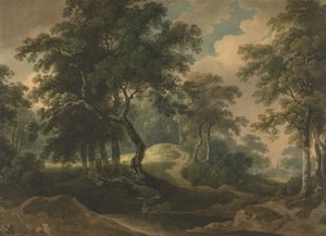 Skogslandskap
