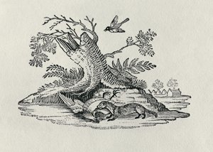 En civet med en tupp från "History of Quadrupeds", 1790 av Thomas Bewick