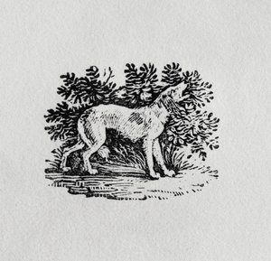 En hund från "History of Quadrupeds", 1800-talet av Thomas Bewick