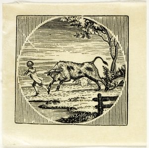 Bokillustration av Thomas Bewick