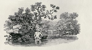 Spela en lax från "History of British Birds and Quadrupeds" av Thomas Bewick