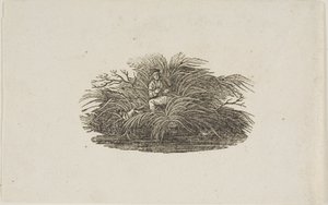 Stjärtstycke: Man in Bush av Thomas Bewick