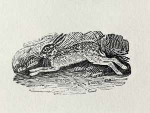 Haren från "History of British Birds and Quadrupeds" av Thomas Bewick
