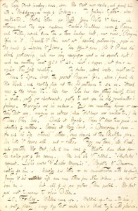 Thomas Butler Gunn Diaries- Volume 6, page 206, November 24-25, 1853