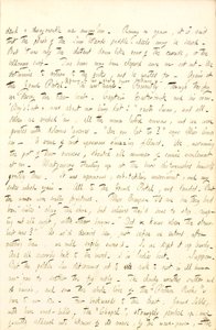 Thomas Butler Gunn Diaries- Volume 6, page 65, August 14, 1853
