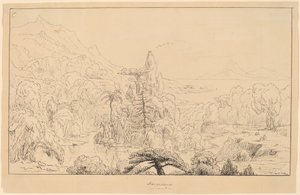 Narcissus [rak] av Thomas Cole