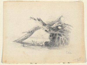 Skiss av två döda träd av Thomas Cole