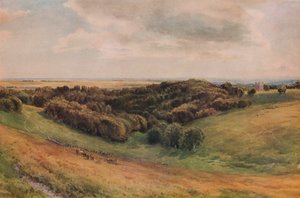 Arundel Park, 1874 av Thomas Collier