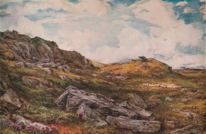 Blythburgh Common, 1888 av Thomas Collier