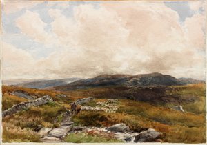 Moorland Scene (penna)