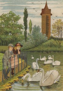 Paris: svanarna (färg litho) av Thomas Crane