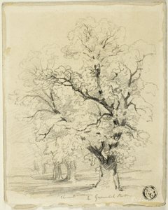 Ches[t]nut i Greenwich Park av Thomas Creswick