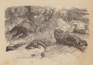 Den lätta brigadens anfall (gravyr i färg) av Thomas Dalziel