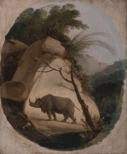 Den indiska noshörningen av Thomas Daniell