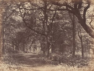 Träscen, Norton, Cheshire, 1856.