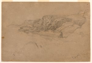Studie från naturen av Thomas Doughty