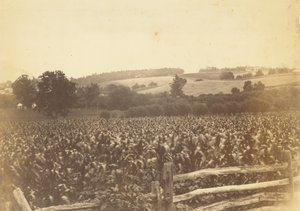 [Cornfield, Avondale, PA] av Thomas Eakins