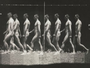 [Man Walking, Stroboscopic Photograph], 1880-tal, tryckt 1930-40-tal, 1880-tal, tryckt 1930-40-tal. av Thomas Eakins