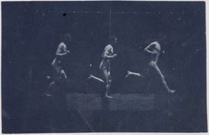 Marey Wheel-fotografier av George Reynolds, ca. 1884. av Thomas Eakins