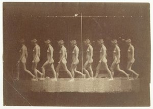 Marey Wheel-fotografier av oidentifierad modell, 1884. av Thomas Eakins