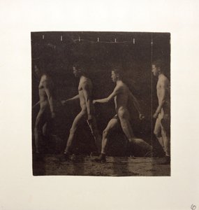 Marey Wheel-fotografier av oidentifierad modell, ca. 1884. av Thomas Eakins