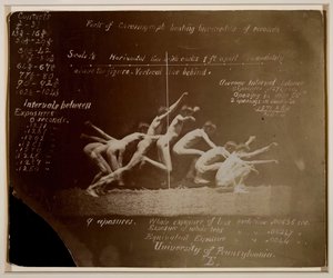 swedish av Thomas Eakins