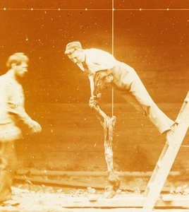 [Studie der Muskelaktion: Junger Mann lehnt an einem Pferdebein]
