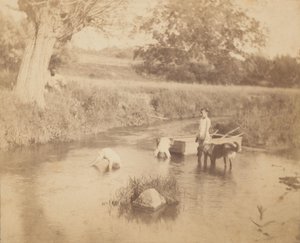 [Tre barn och en hund som leker i bäcken, 4 juli 1883], 1883., 1883. av Thomas Eakins