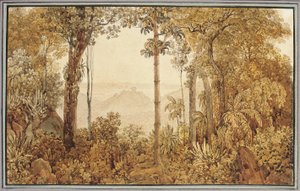 Utsikt över Rio de Janeiro från Tijuca-skogen av Thomas Ender